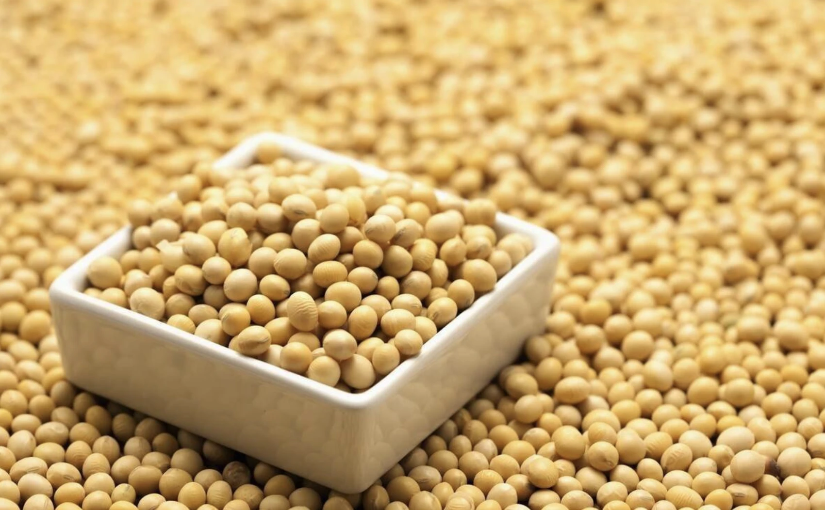 厂家大豆豆粕 饲料级不发酵豆粕 家畜饲料添加剂大豆粕-阿里巴巴