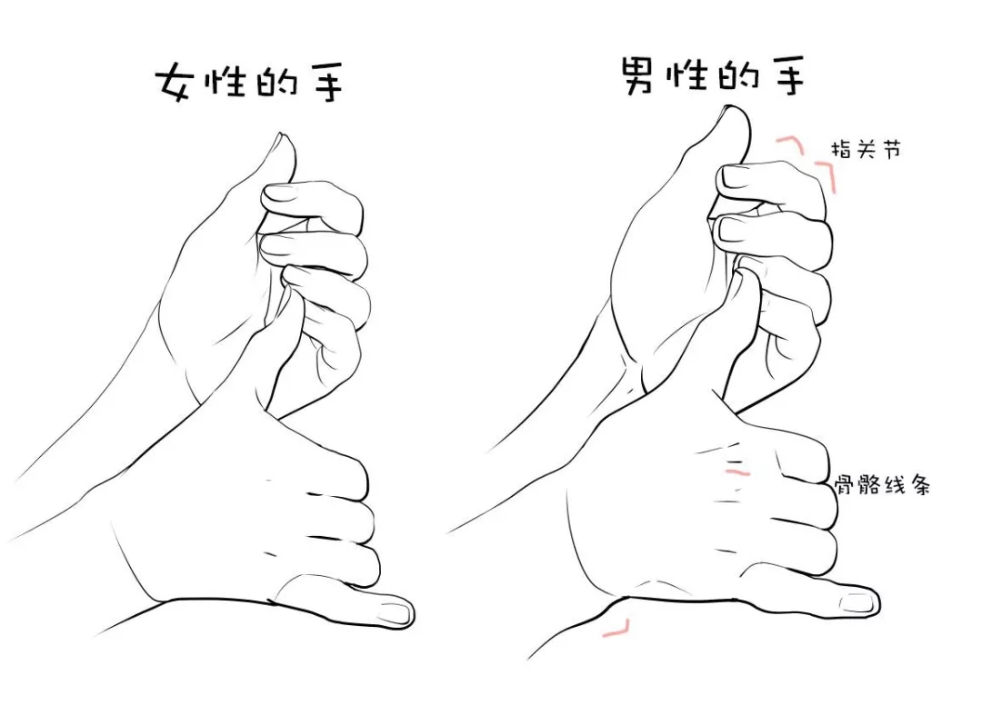 如何区分男性和女性的手?