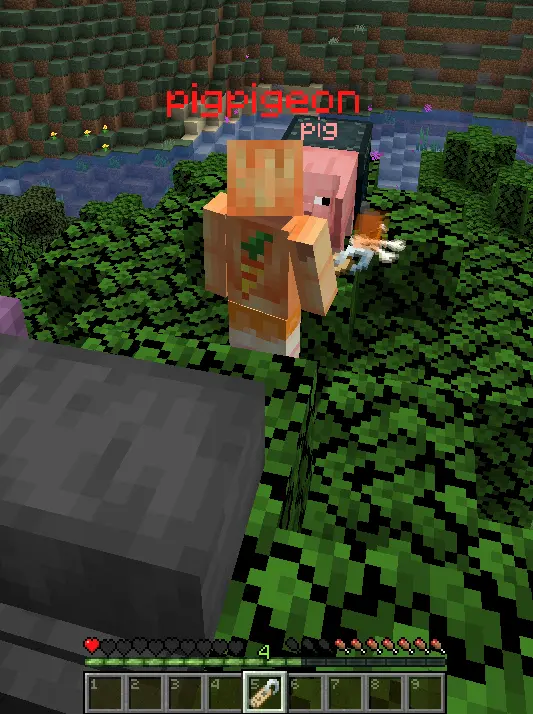 Minecraft 我的世界1 16 1fabric Mods 模组推荐0627 哔哩哔哩