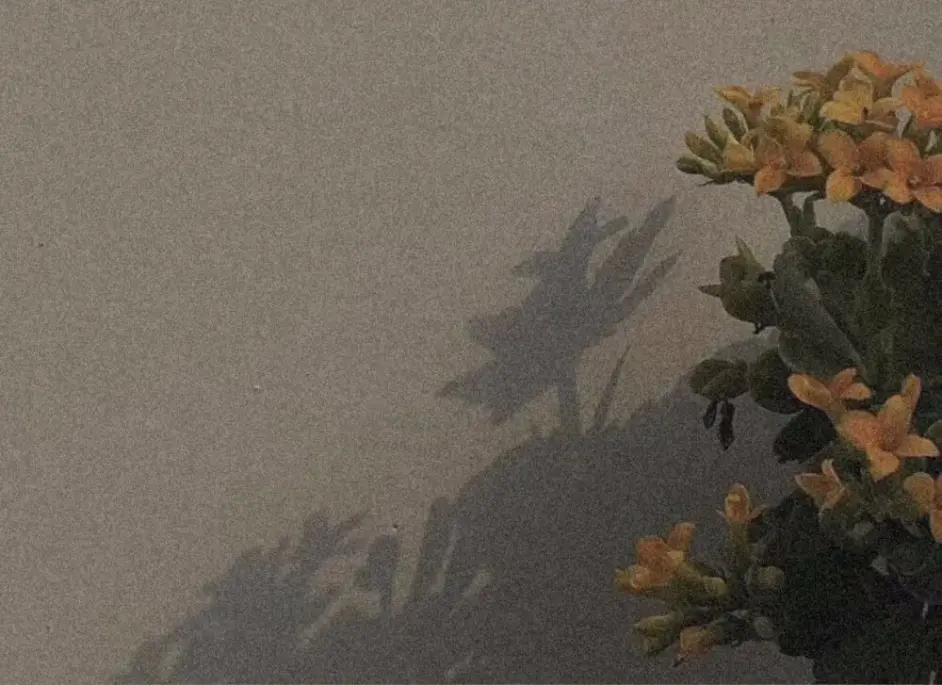 木土合相水瓶0度 十二星座21年好运密码之天秤座 哔哩哔哩