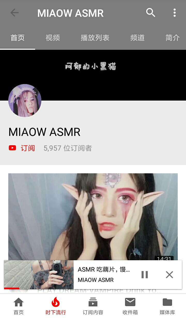 国外ASMR视频主(关注量的解析)(在B站比较知