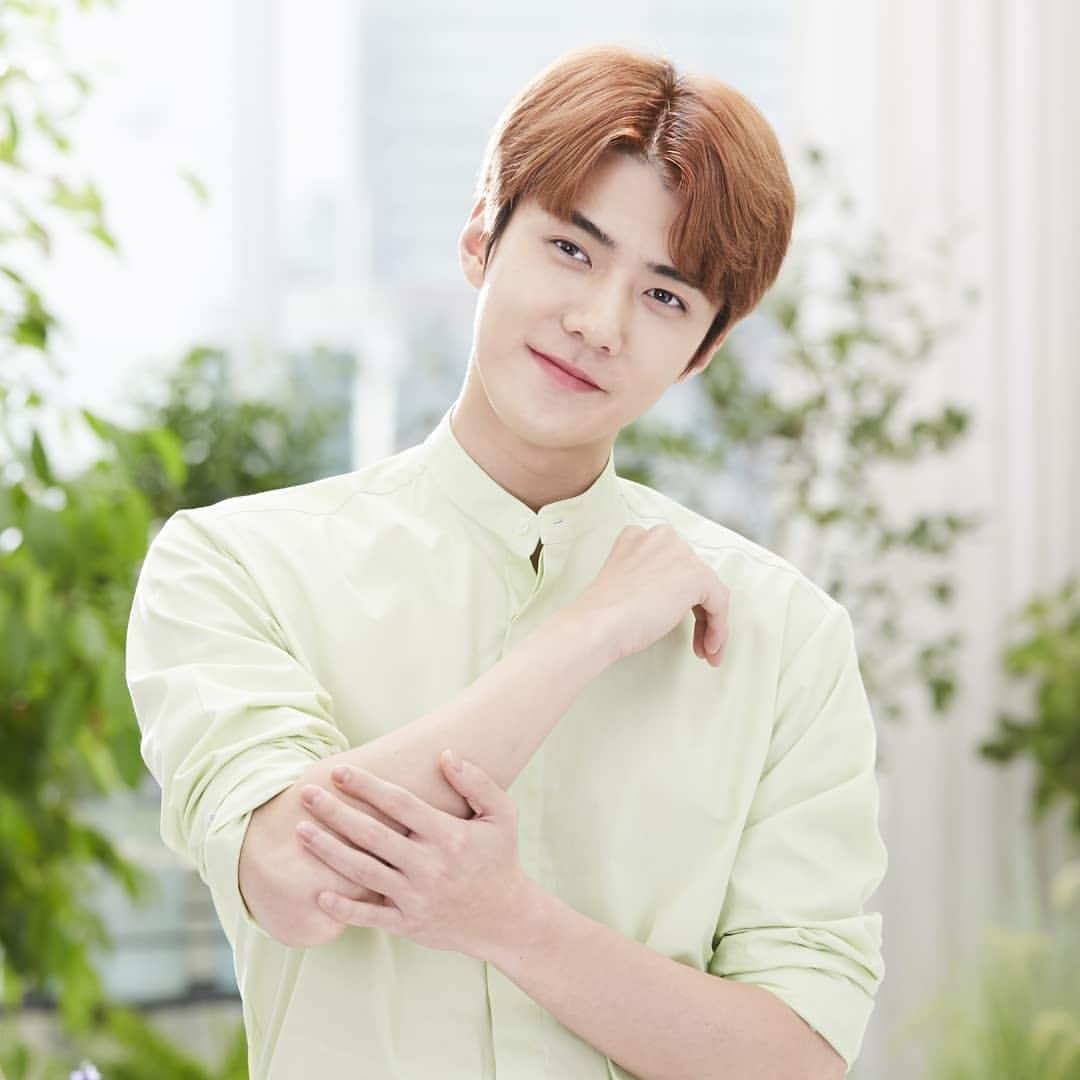 【吴世勋】梦境少女与猫咪sehun【③】【完结篇】(原创作品)