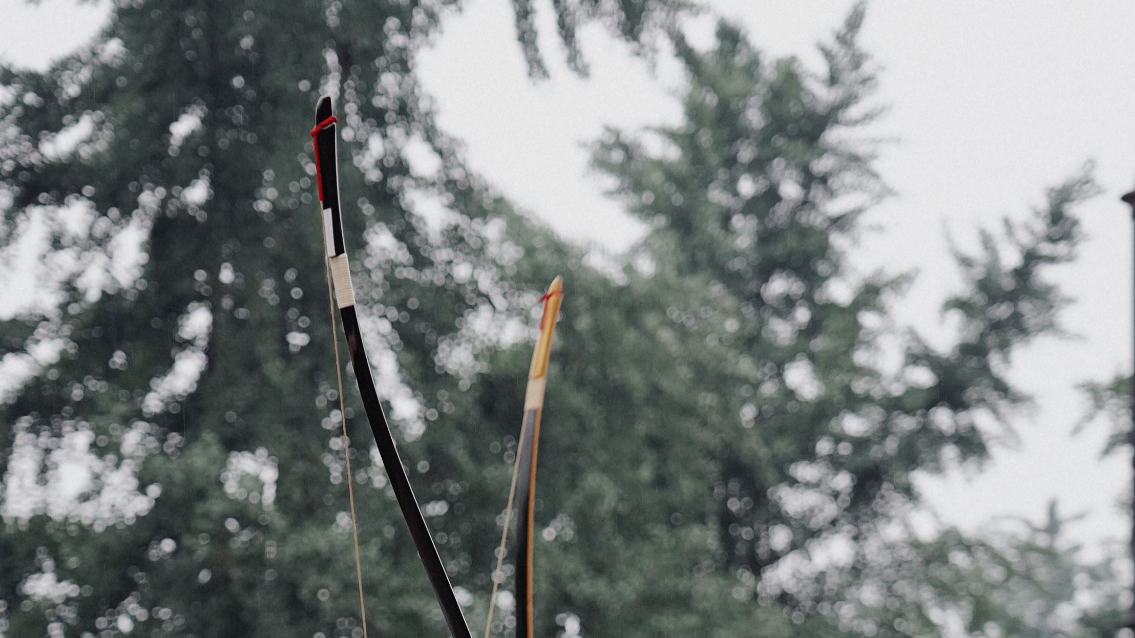 弓道的中(射技)的物理考察①~はじめに~ 哔哩哔哩