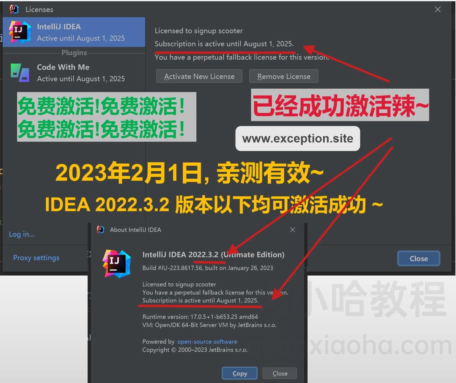 IDEA 2022.3.2 成功破解激活截图 IDEA 2022.3.2 成功破解激活截图