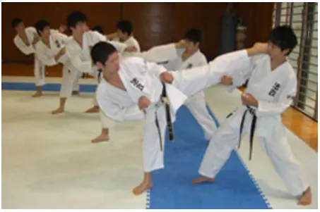 从动漫看日本文化 空手道部 哔哩哔哩