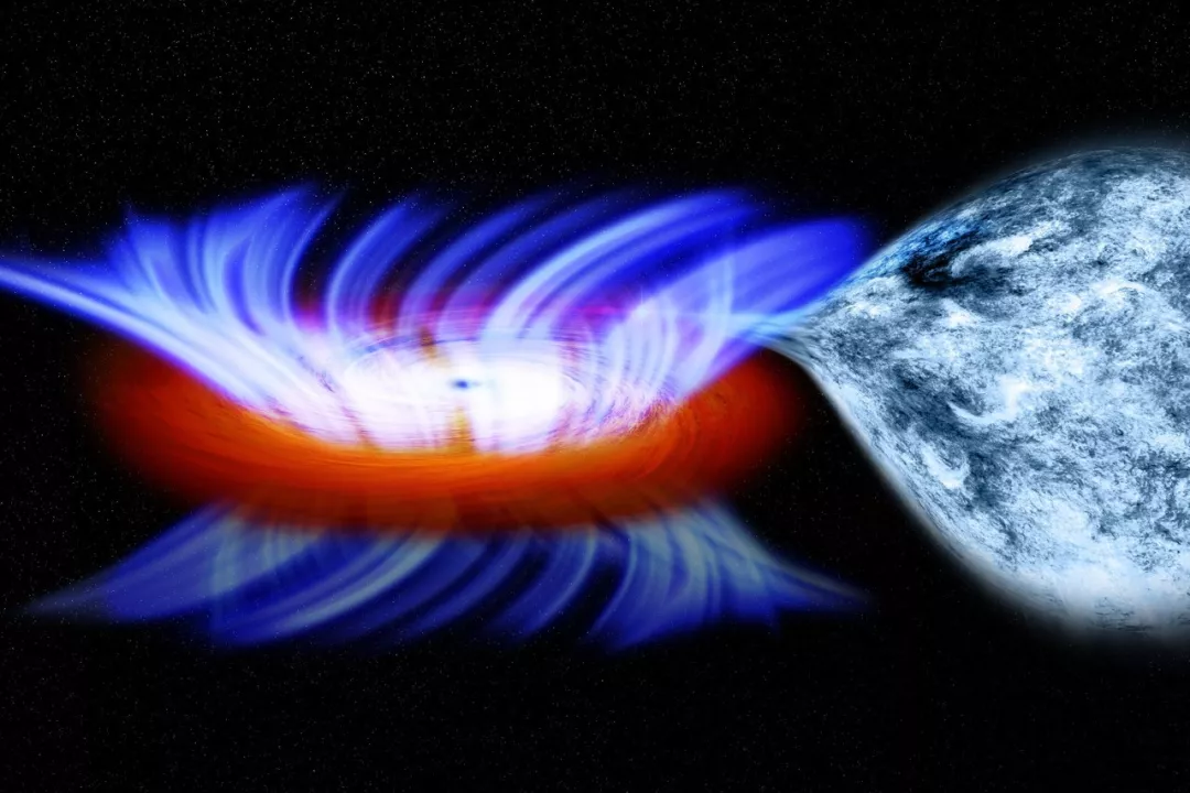 黑洞吸食伴星的气体