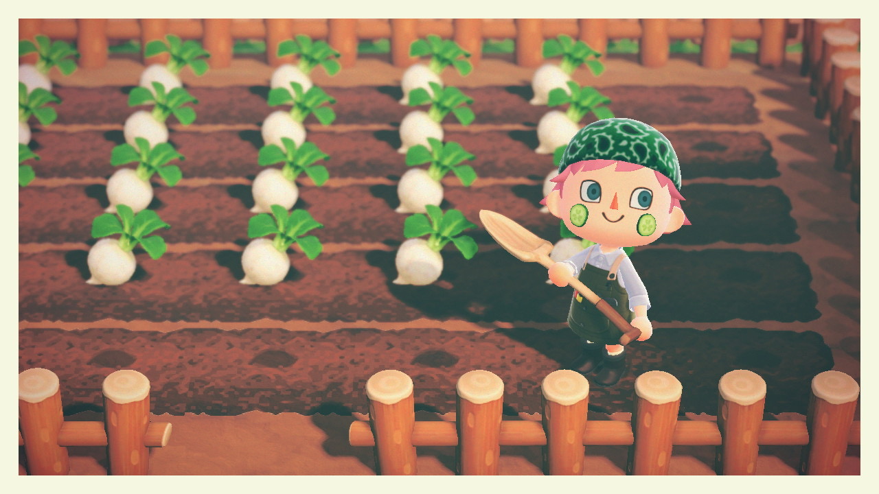 「动森攻略」优雅地囤大头菜素材分享