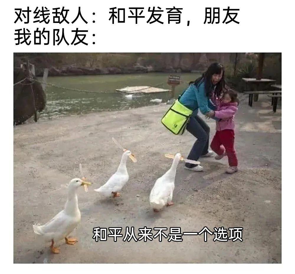 meme梗图:你的鼻子掉了,小丑! - 哔哩哔哩