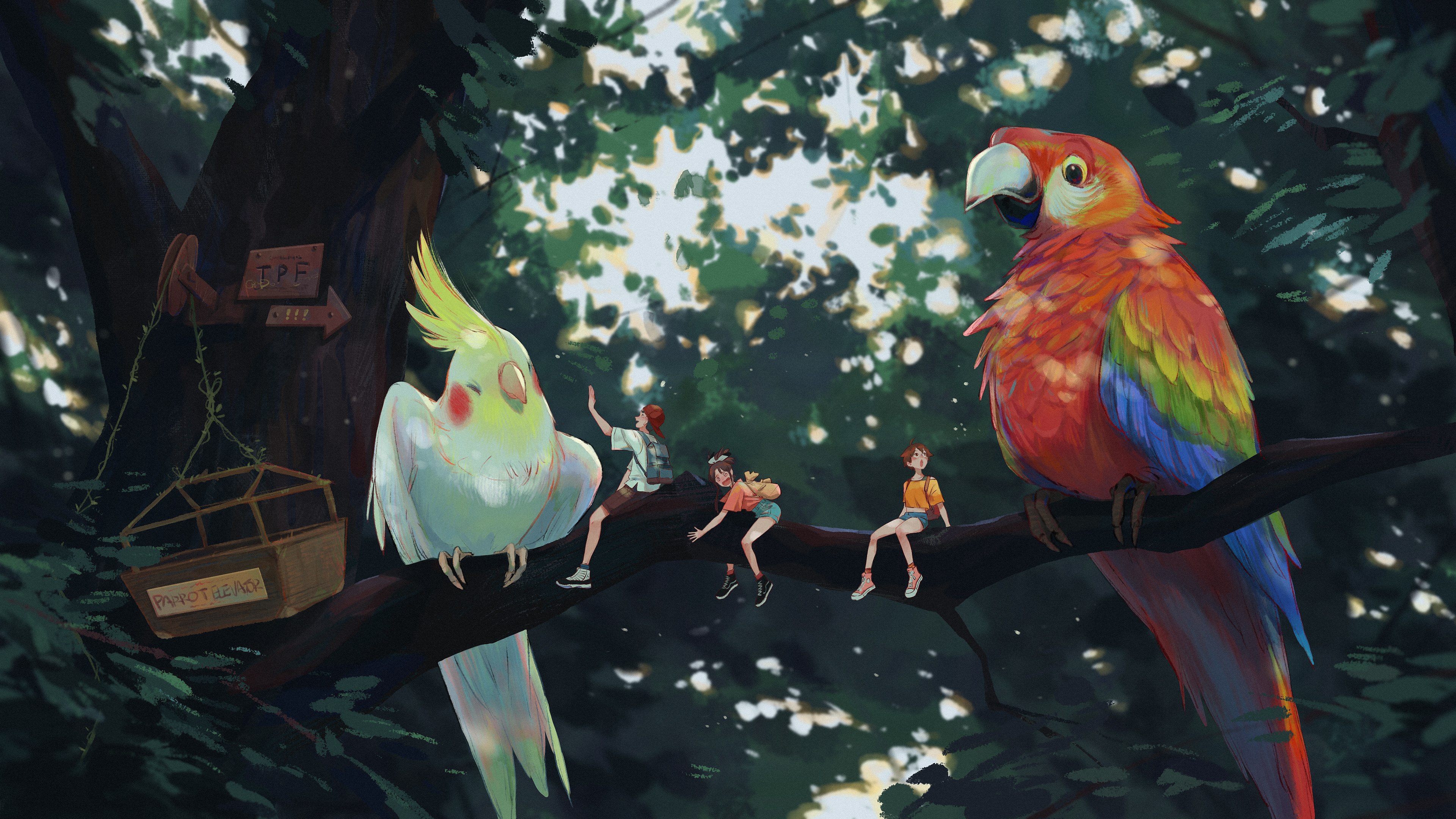 森雨专访01 期:东隆咚