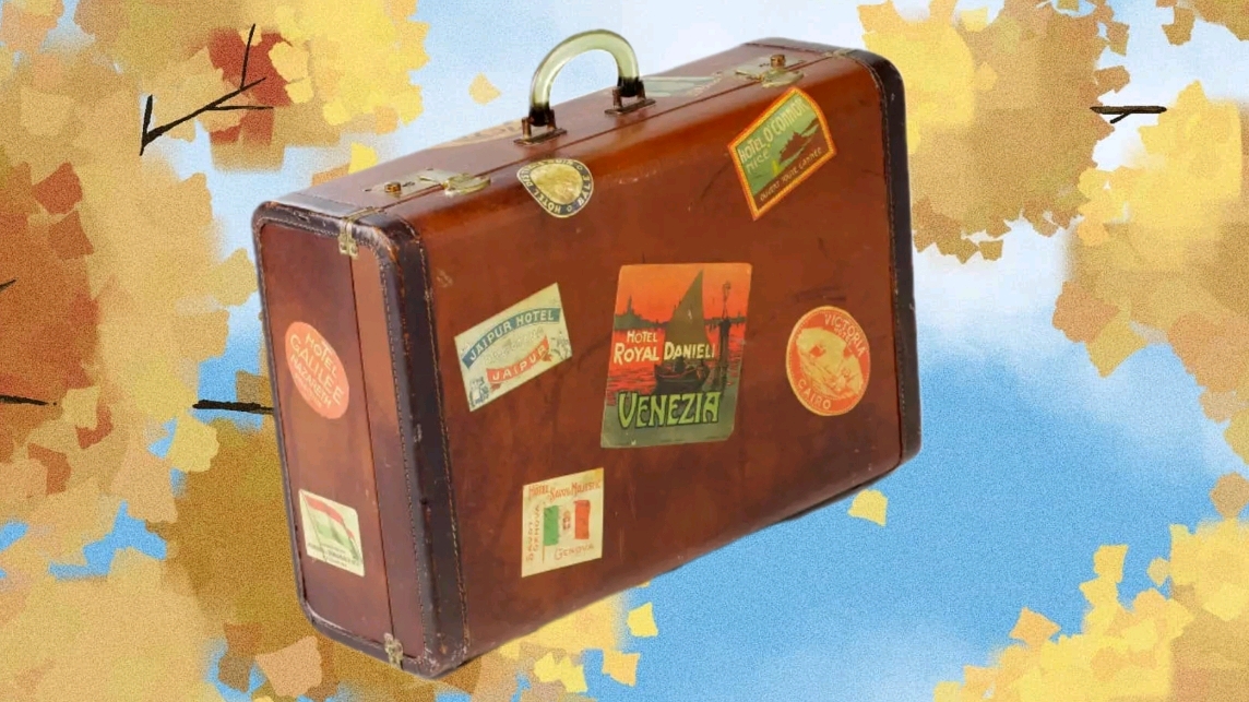 What Did Jimmy S Suitcase Contains at Ralph Evans blog