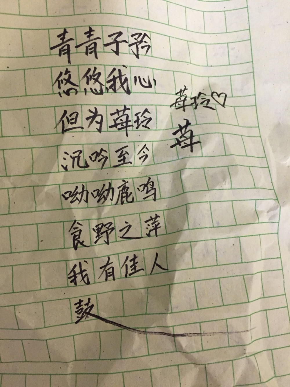 这就是霖偷偷写的东西哟,真可耻