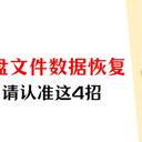 u盘恢复数据，快速找回删除文件，请认准这4招