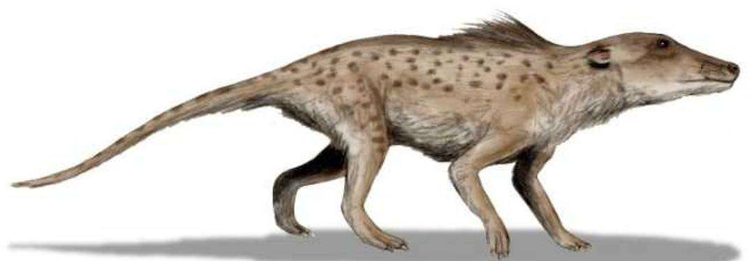 【文化有话说】生命启示录