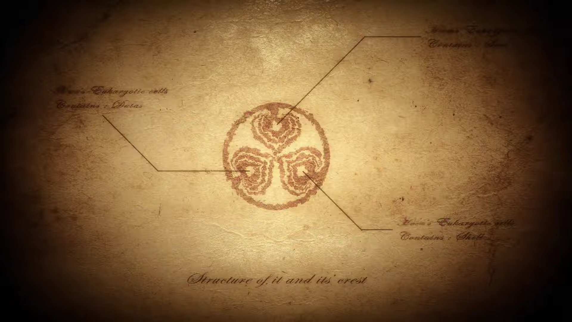 【心得】himehina《琥珀の身体》《琥珀的身体》考察