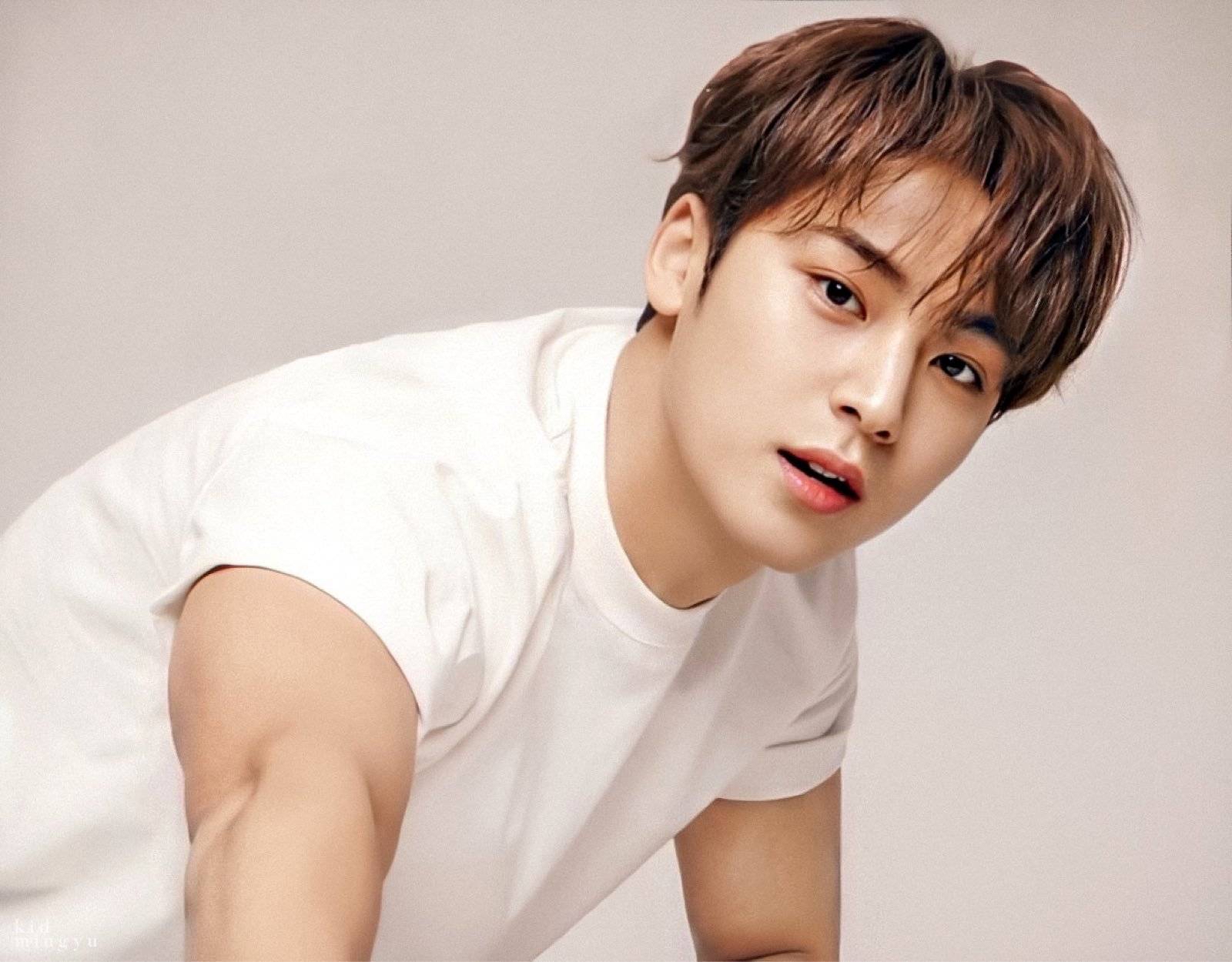 seventeen金珉奎霸凌残疾人校友并非事实!