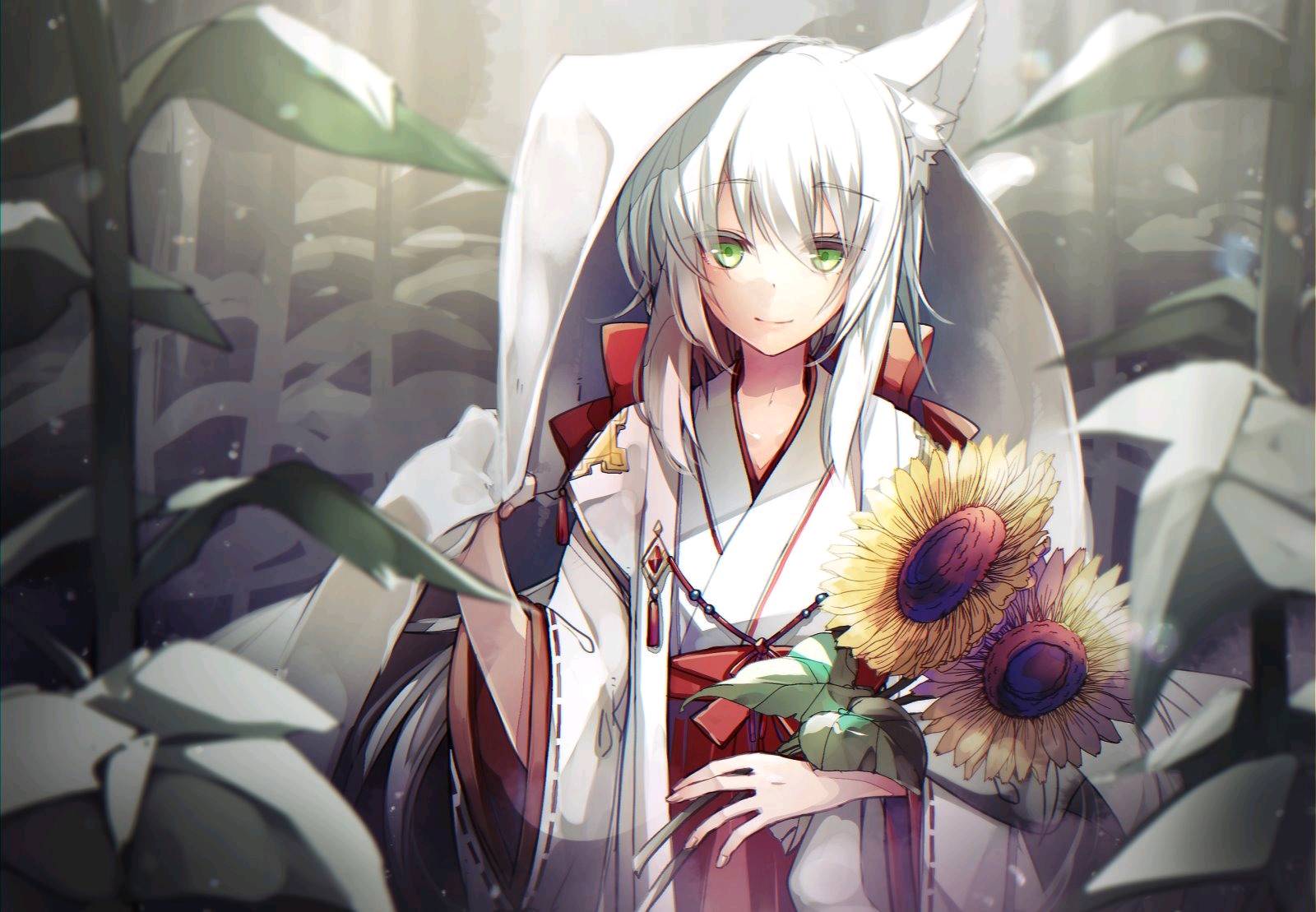 p站美图白毛与兽耳