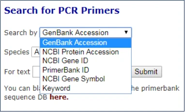 PrimerBank在线引物设计--2分钟快速学会引物设计（含引物验证） - 哔哩哔哩