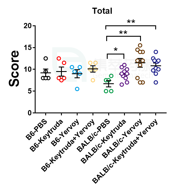 鼠库全书丨爱鼠要如何选择？BALB/c or C57BL/6？ - 哔哩哔哩