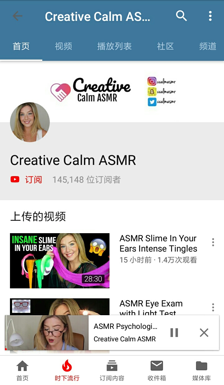 国外ASMR视频主(关注量的解析)(在B站比较知