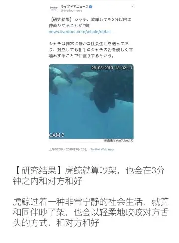 明日方舟同人 小故事 虎鲸的 舌吻道歉 极少量桃子 哔哩哔哩
