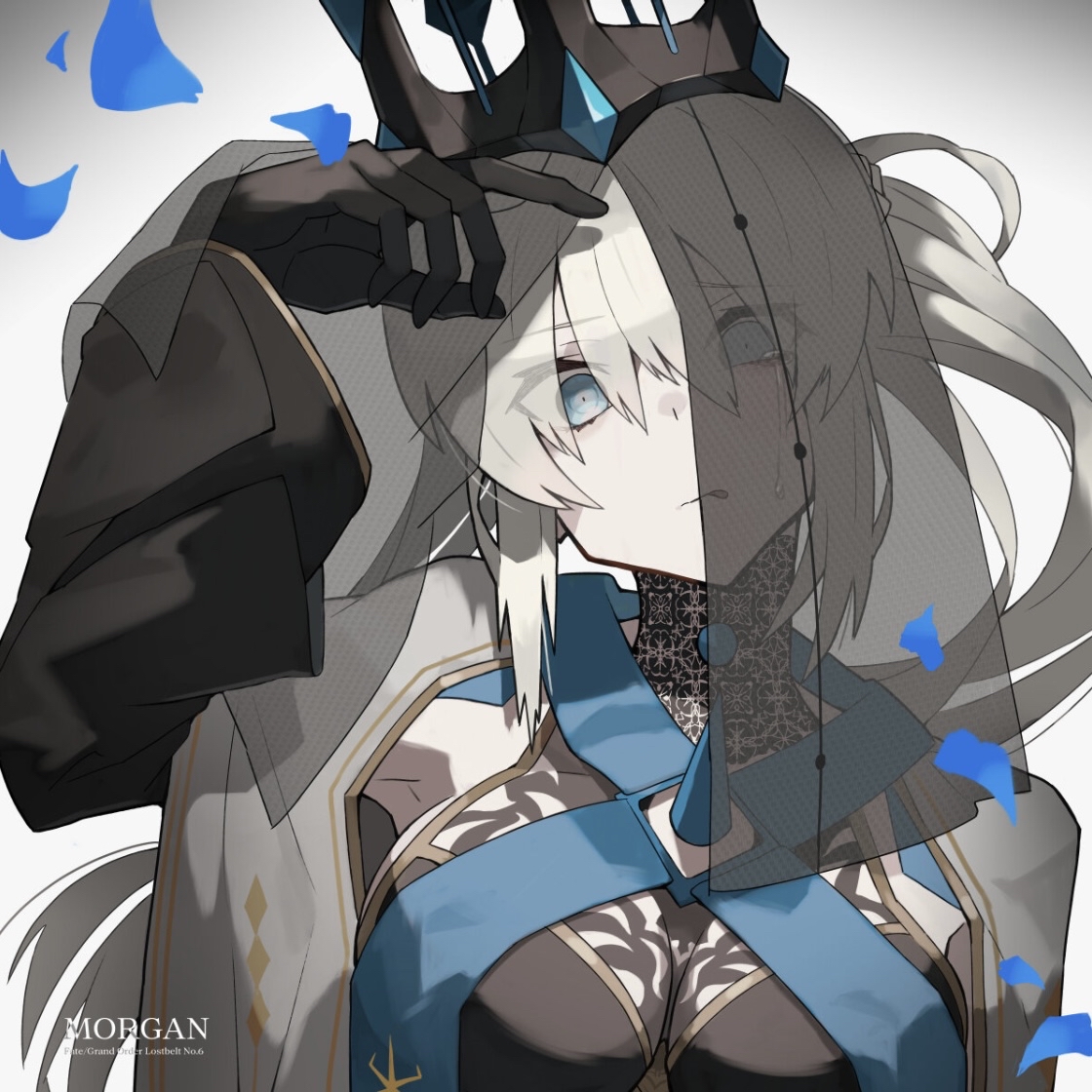 【Pixiv】FGO摩根·勒·菲 本年度同人图精选 - 哔哩哔哩