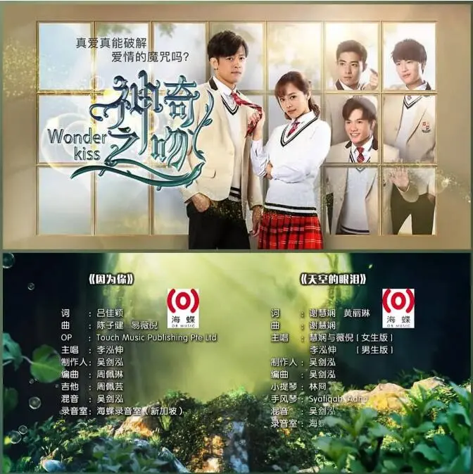 2019年8部新加坡电视剧 哔哩哔哩