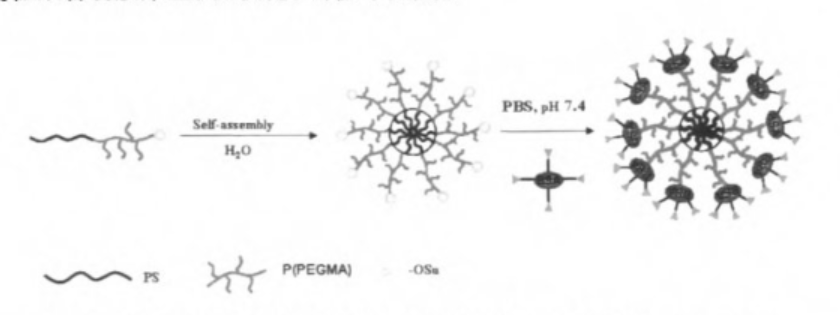 Hy-PEI-g-PCL-b-PEG 氮苯修饰介孔二氧化硅颗粒/P(PEGMA)-b-PNIPAAm的嵌段聚合物 - 哔哩哔哩