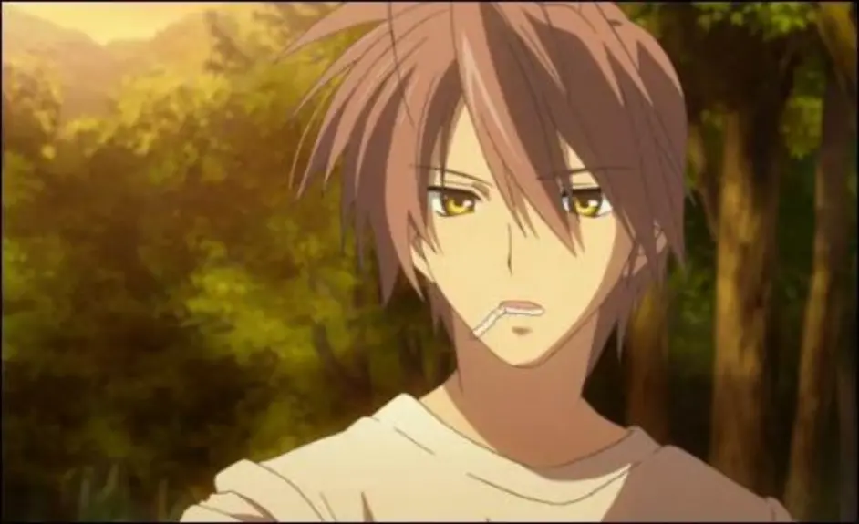 Clannad 古河夫妻图集 哔哩哔哩