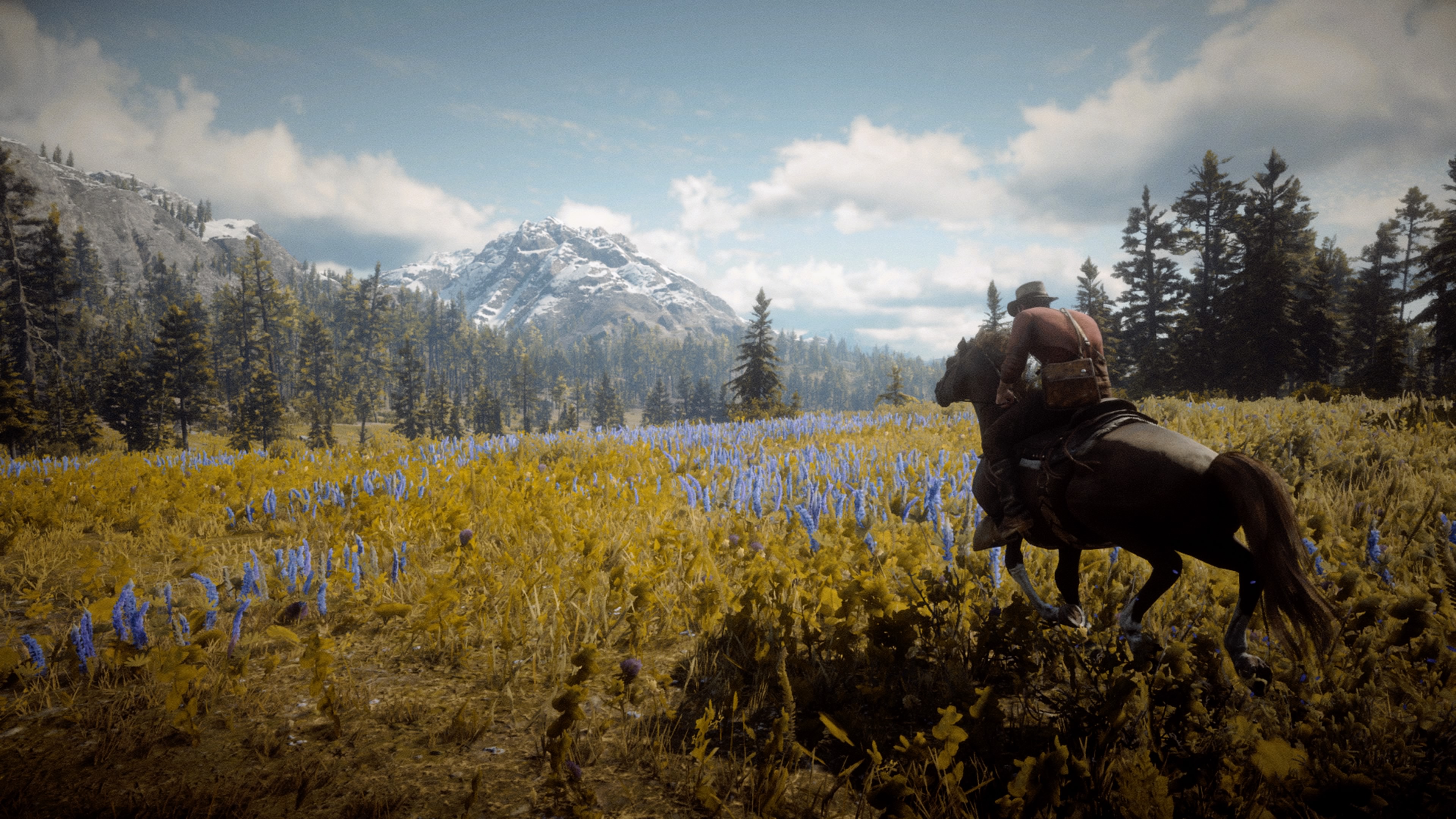 敬这终将失去自由的西部世界荒野大镖客救赎2截图赏2