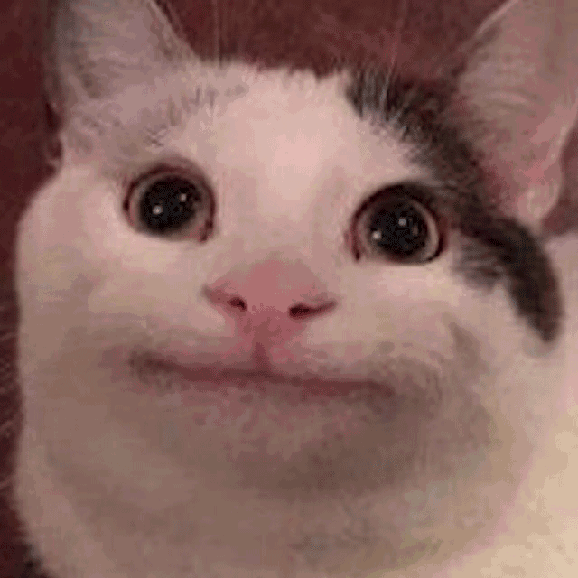 【beluga】又yee点beluga - 哔哩哔哩