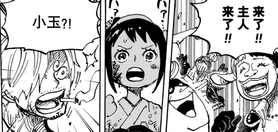 海贼王1017话日版 奎因人兽形像一只乌龟 直接把小玉给吓晕 哔哩哔哩