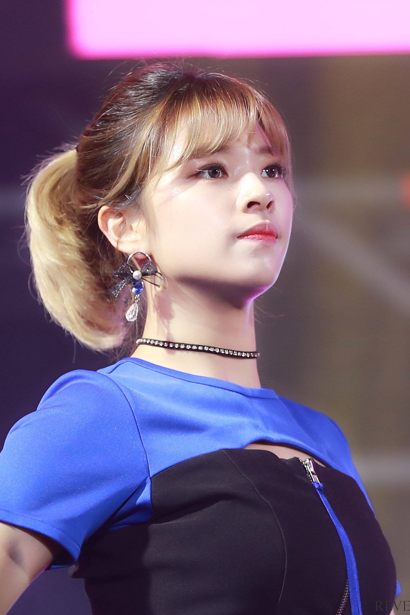 1.13-1.14韩娱资讯(7名韩国艺人学位被取消\/李