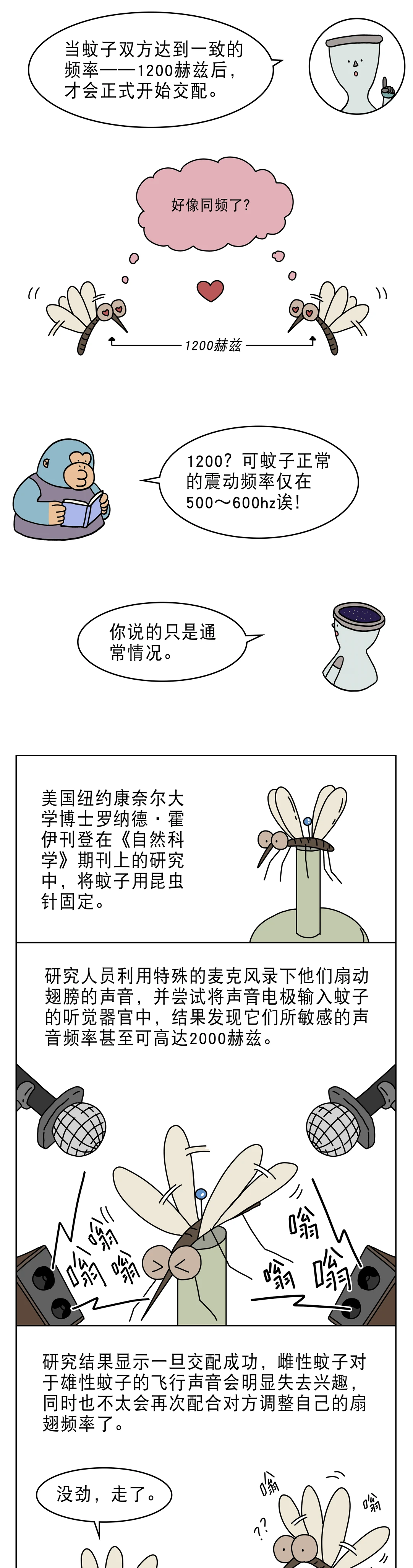 蚊子嗡嗡叫竟然是在做这种事3