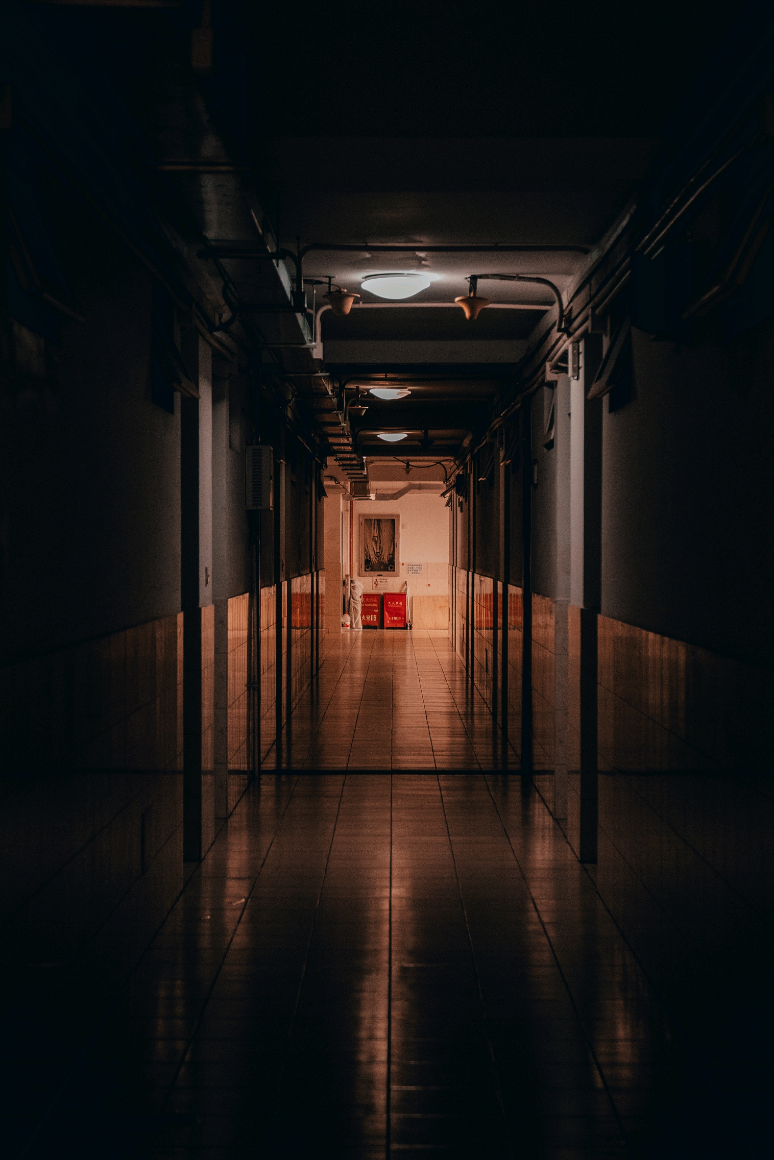 普通与诡异,只有一个预设的距离 - 哔哩哔哩