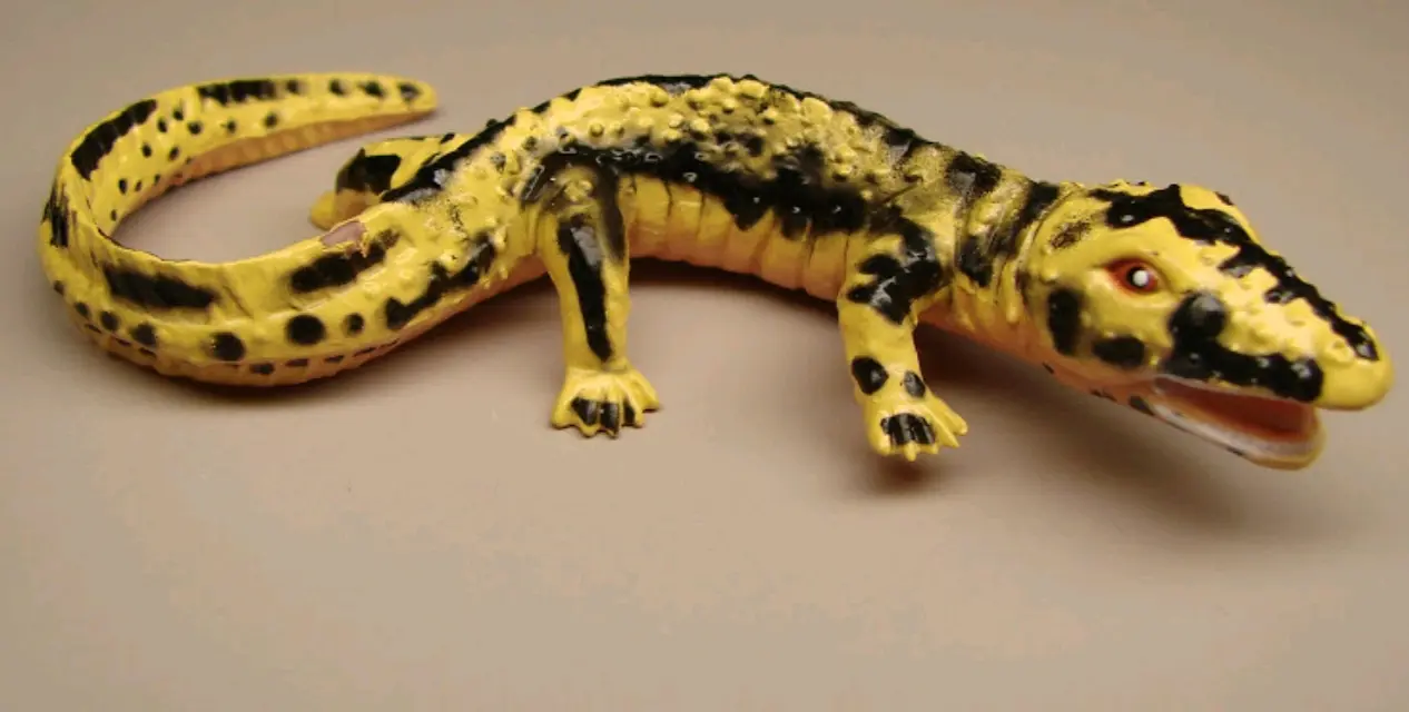 古生代两栖动物玩具 - 哔哩哔哩