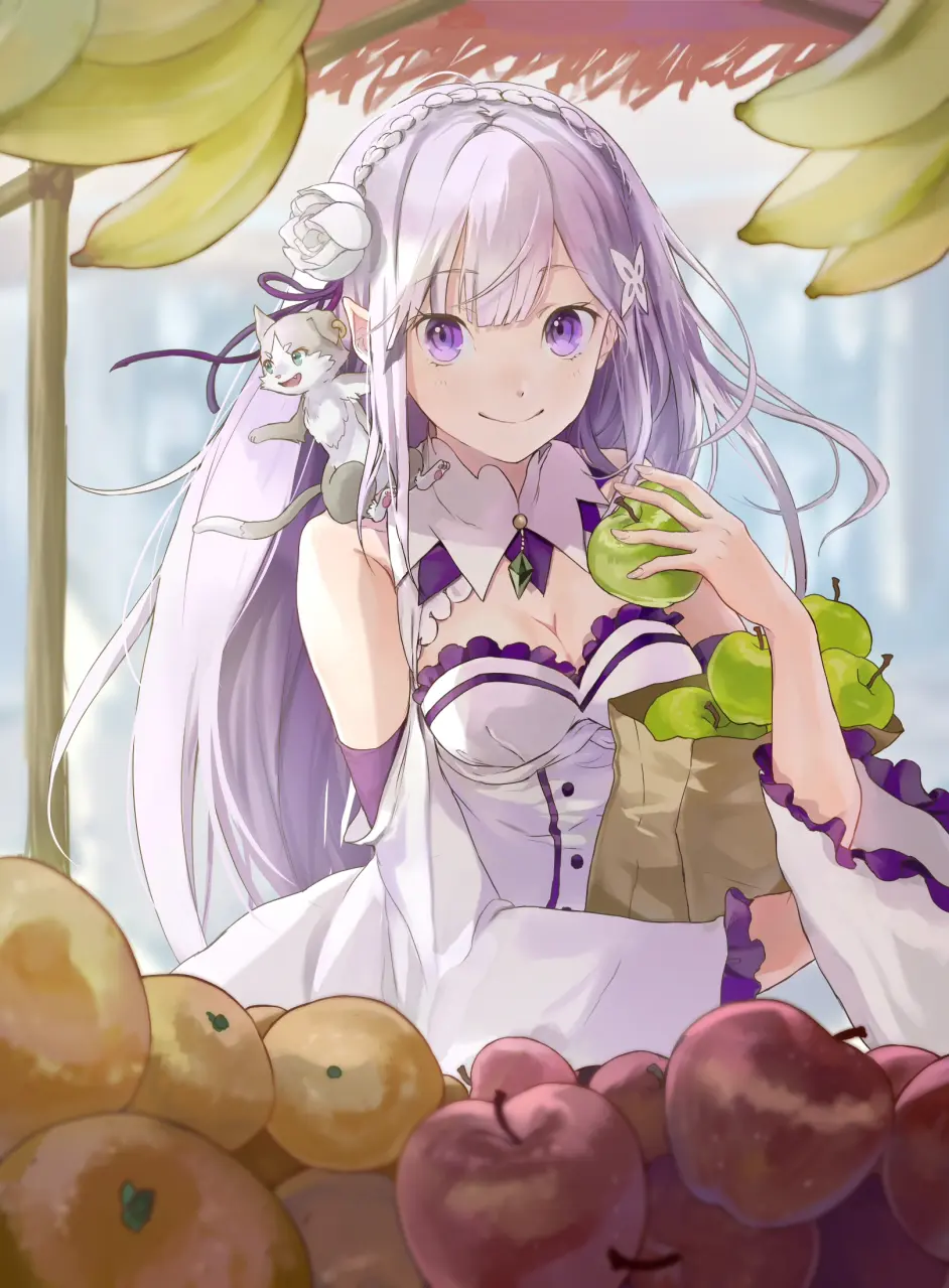 张精选超清壁纸 爱蜜莉雅 哔哩哔哩