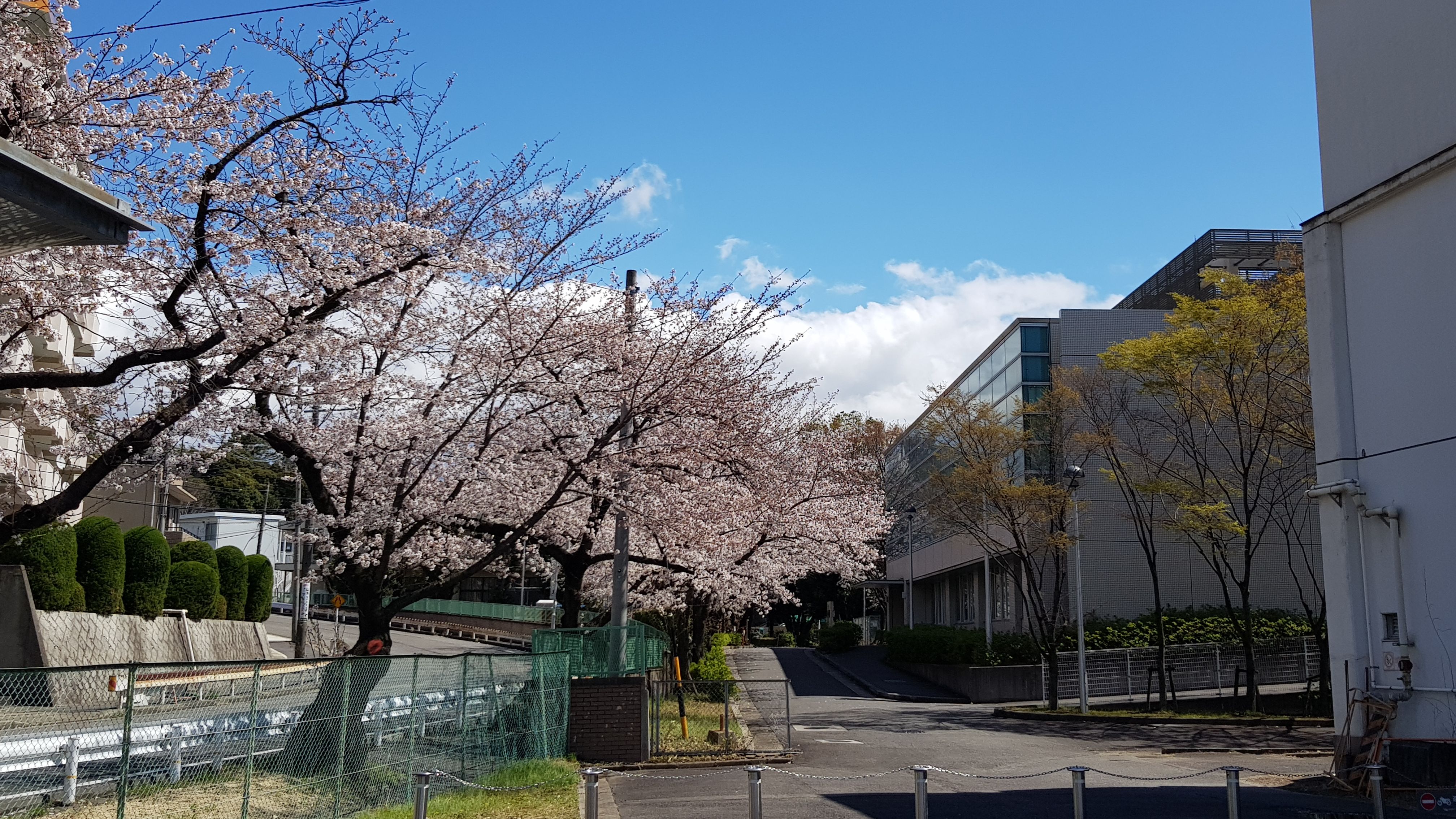 日本留学的一些个人经验与介绍 哔哩哔哩专栏