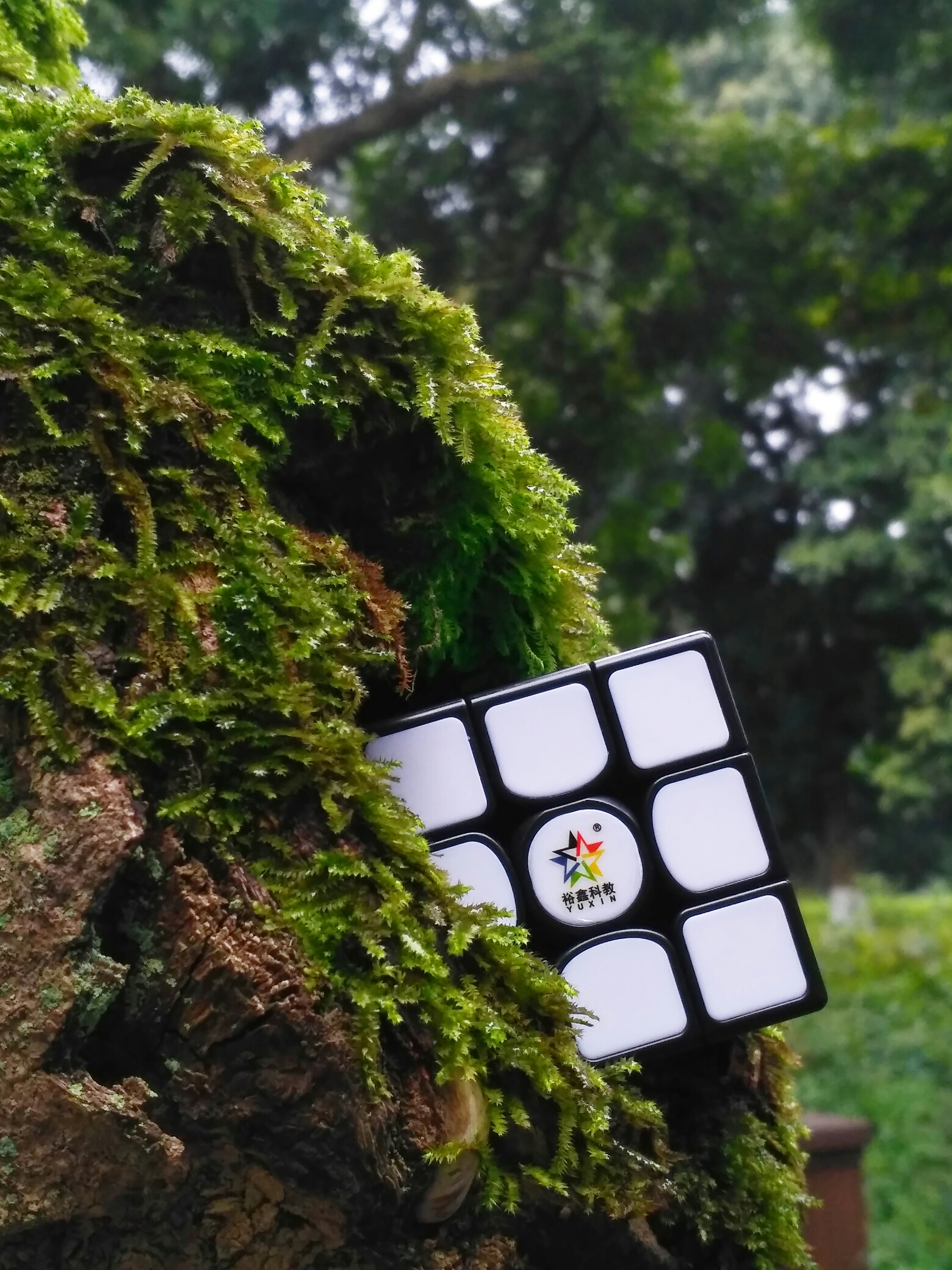 每周魔方美图第十三弹