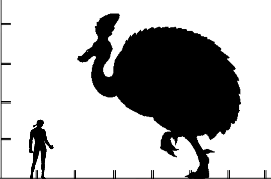 怪物猎人3怪物剪影比例图 哔哩哔哩