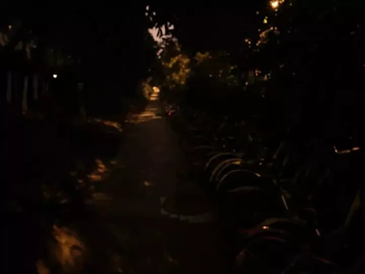 华为P30拍照碾压友商,但有两点致命缺陷发布