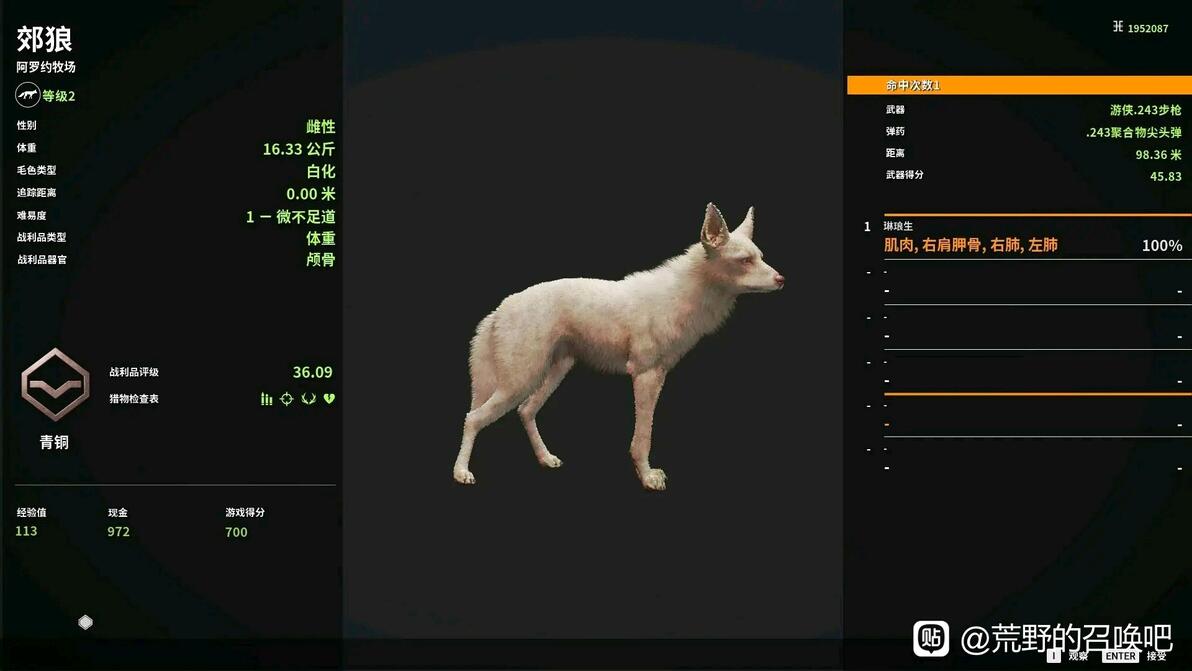 《猎人:荒野的召唤》墨西哥郊狼狩猎攻略 - 哔哩哔哩