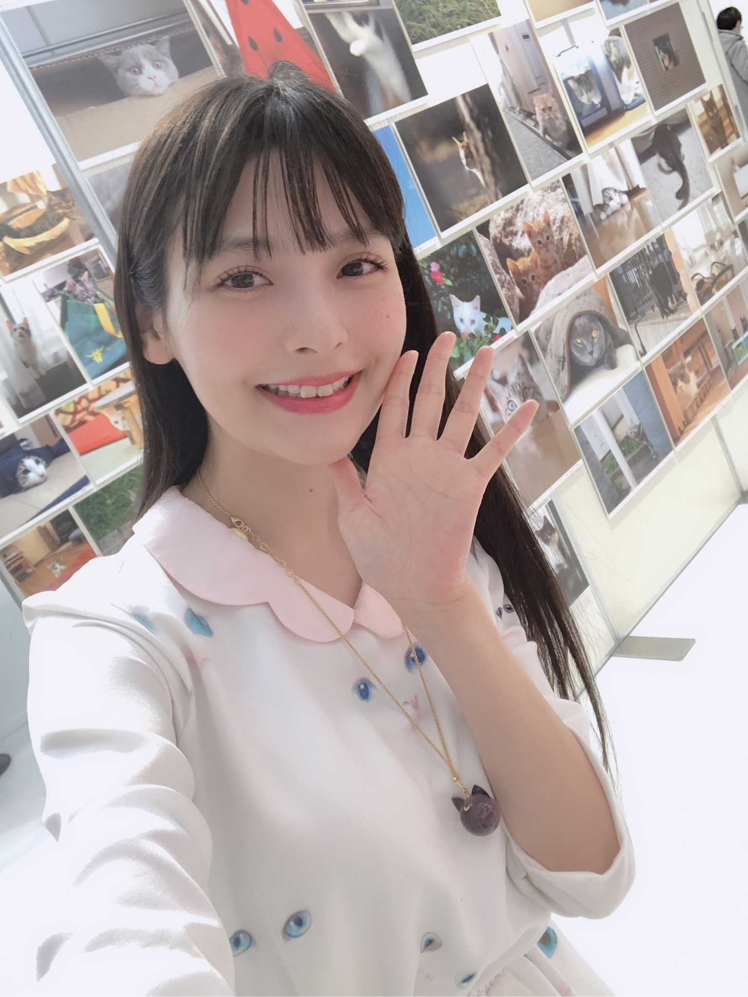 [爱我苏联]【上坂堇】突然猫片展(3.19)