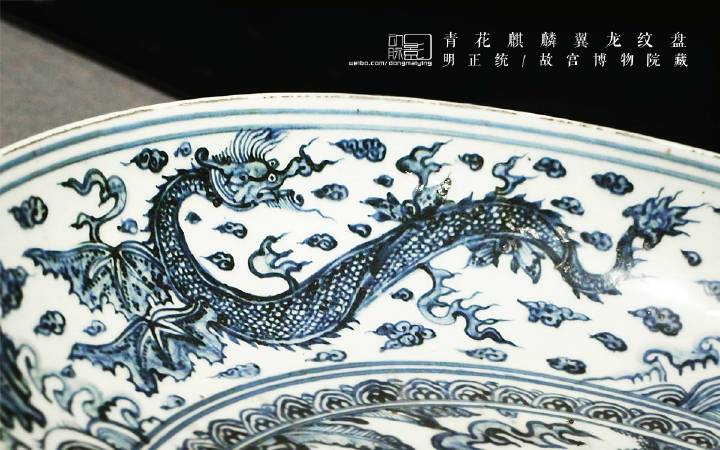 为啥飞鱼不像鱼