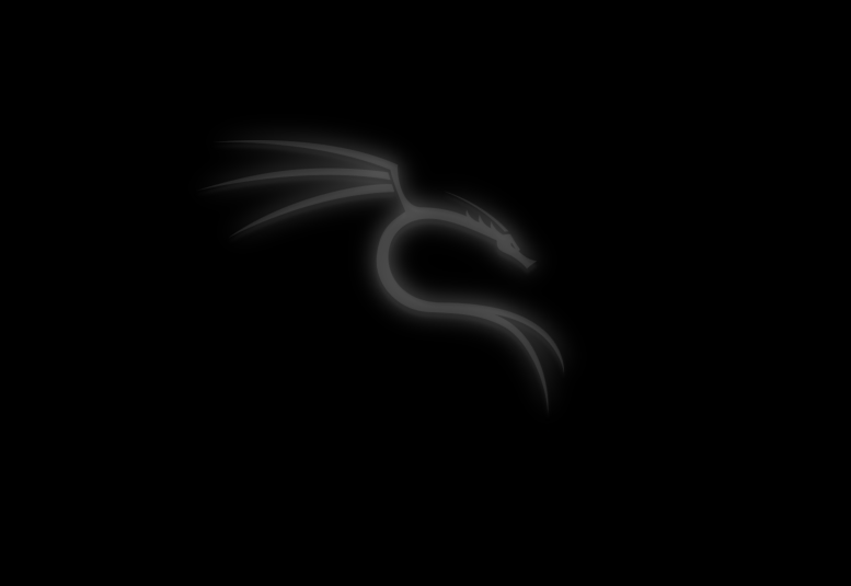 Kali Linux Kali linux