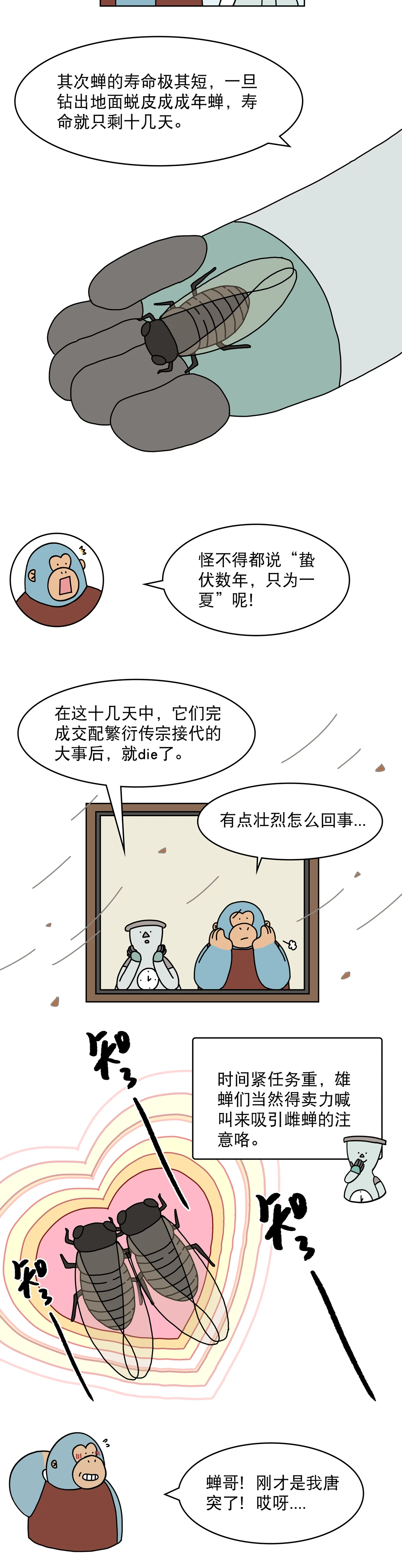 蝉为什么总是一起叫一起停2