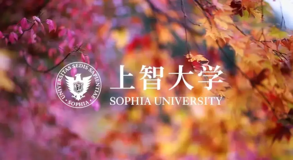 出愿信息早知道丨上智大学募集要项 哔哩哔哩