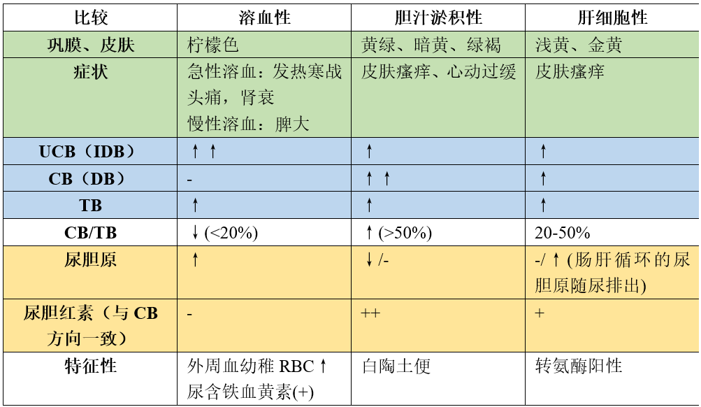物理诊断学-常见症状-黄疸 - 哔哩哔哩