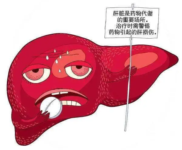 肝功能受损怎么调理