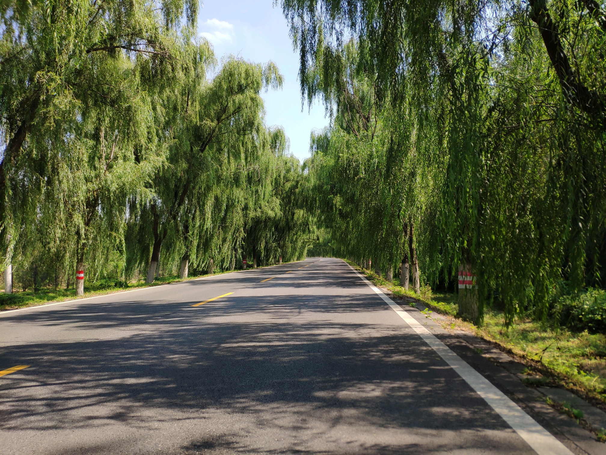 京福路