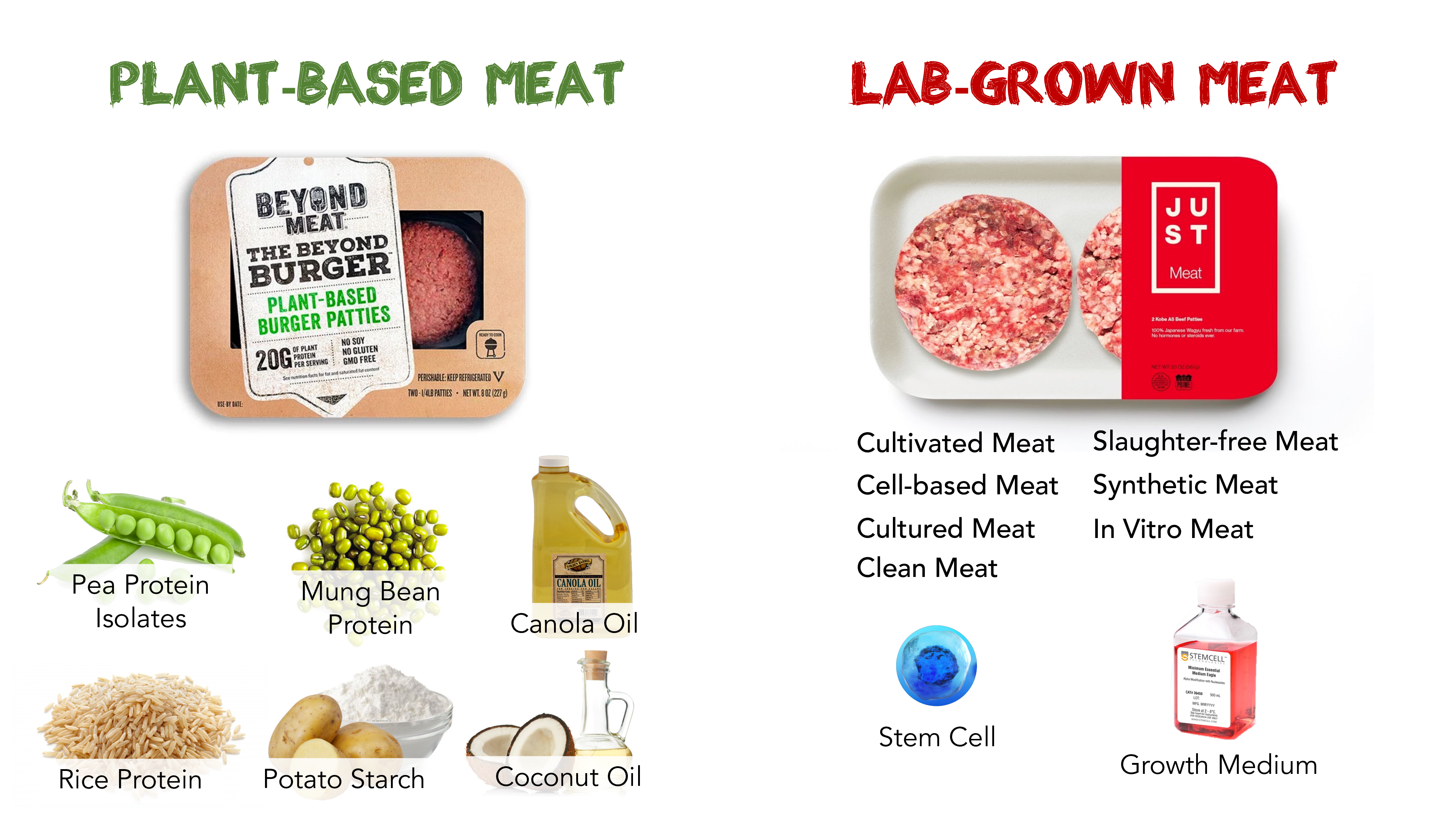 你会吃人造肉吗？丨would You Eat Lab Grown Meat？ 哔哩哔哩